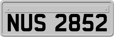 NUS2852