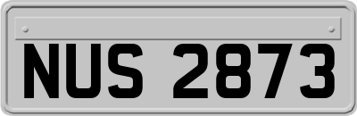 NUS2873