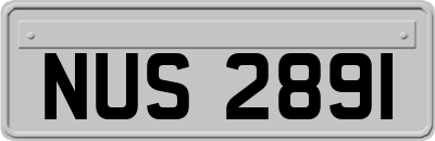 NUS2891