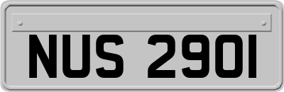 NUS2901