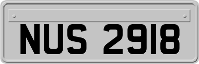 NUS2918