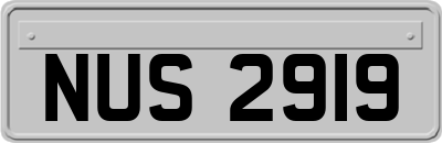 NUS2919