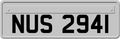 NUS2941
