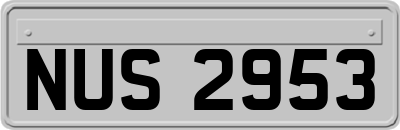 NUS2953