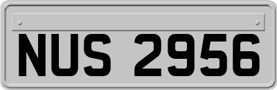 NUS2956