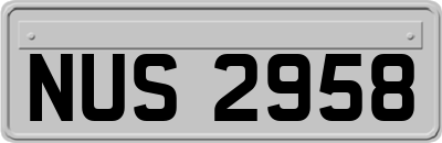 NUS2958