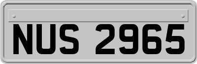 NUS2965
