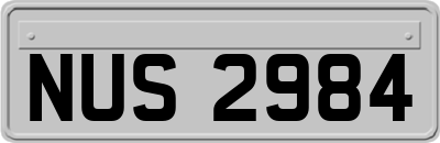NUS2984