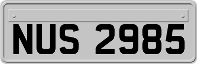 NUS2985