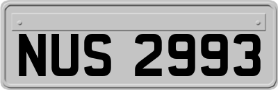 NUS2993