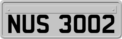 NUS3002