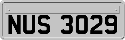 NUS3029