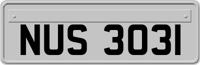 NUS3031