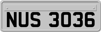 NUS3036