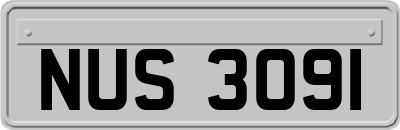 NUS3091