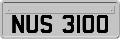 NUS3100