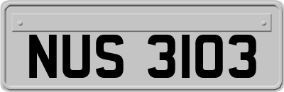 NUS3103