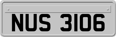 NUS3106