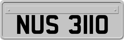 NUS3110