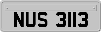 NUS3113