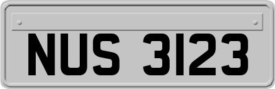 NUS3123