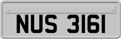 NUS3161