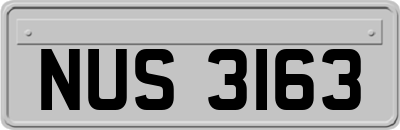 NUS3163