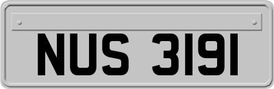 NUS3191