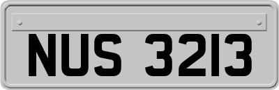 NUS3213