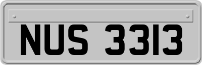 NUS3313
