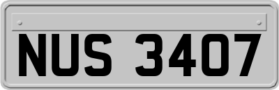 NUS3407