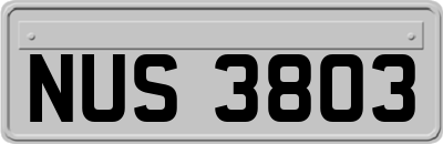 NUS3803