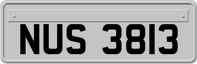 NUS3813