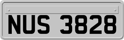 NUS3828