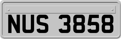 NUS3858