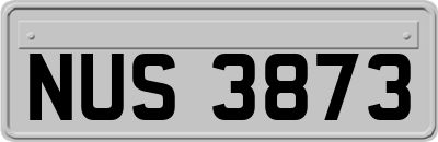 NUS3873