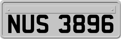 NUS3896