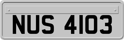 NUS4103