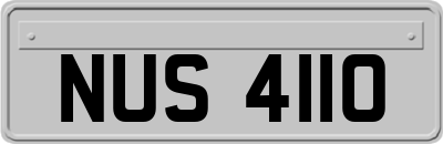 NUS4110