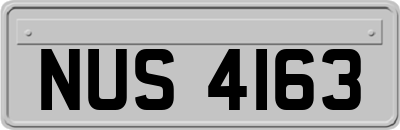 NUS4163