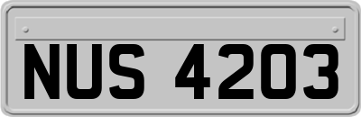 NUS4203
