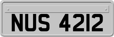 NUS4212