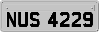 NUS4229