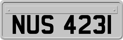 NUS4231