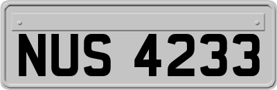 NUS4233