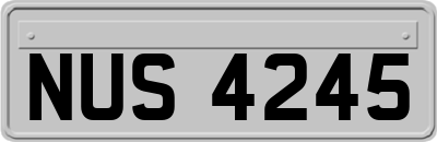 NUS4245