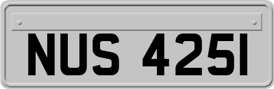 NUS4251