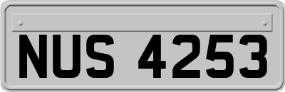 NUS4253