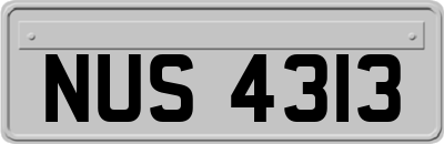 NUS4313