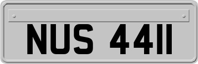 NUS4411